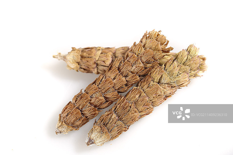 白底上放着夏枯草图片素材