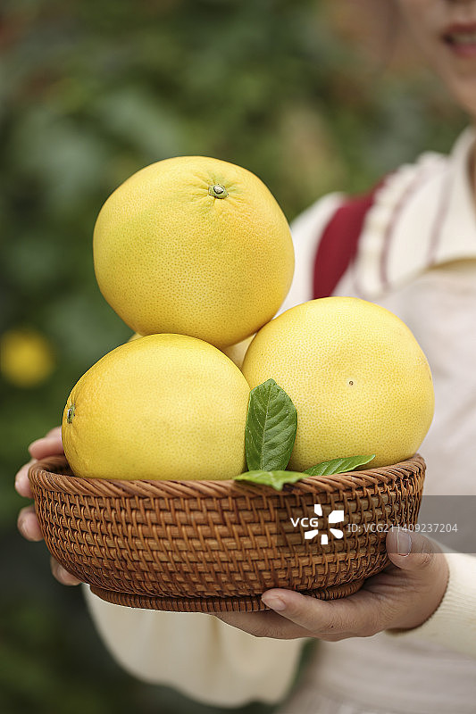 手里拿着黄金葡萄柚图片素材