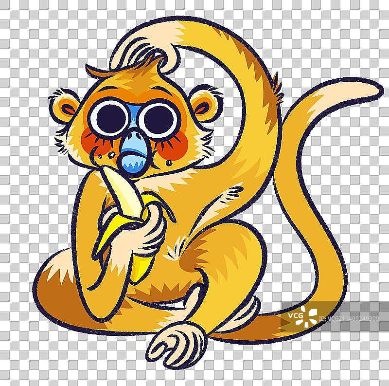 金丝猴图片素材