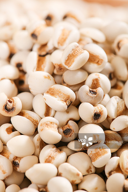 浅底上的薏米仁图片素材