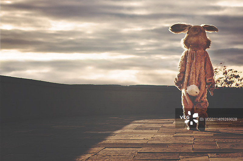 日落时分，穿着兔子服装的人站在码头上图片素材