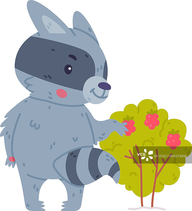 带条纹尾巴的有趣浣熊动物角色图片素材