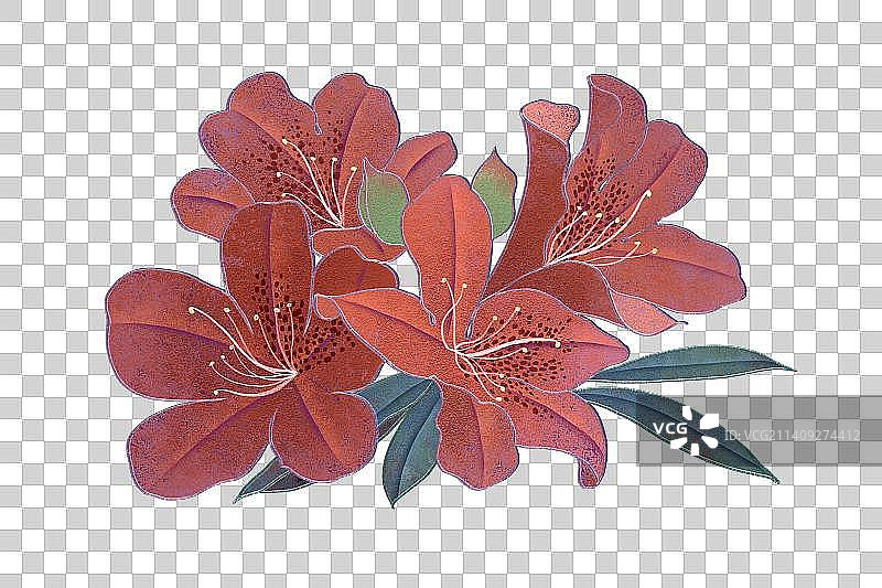 肌理岩彩风格植物系列杜鹃花图片素材