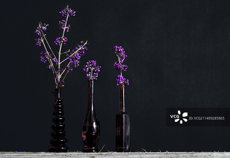 复古花瓶中的紫色紫珠枝图片素材