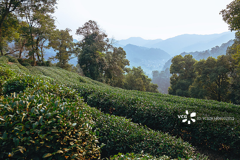 杭州西湖群山十里琅珰沿途初秋景色图片素材
