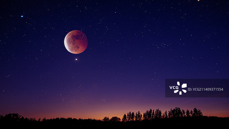 夜晚血月亮对天空的低角度视图图片素材