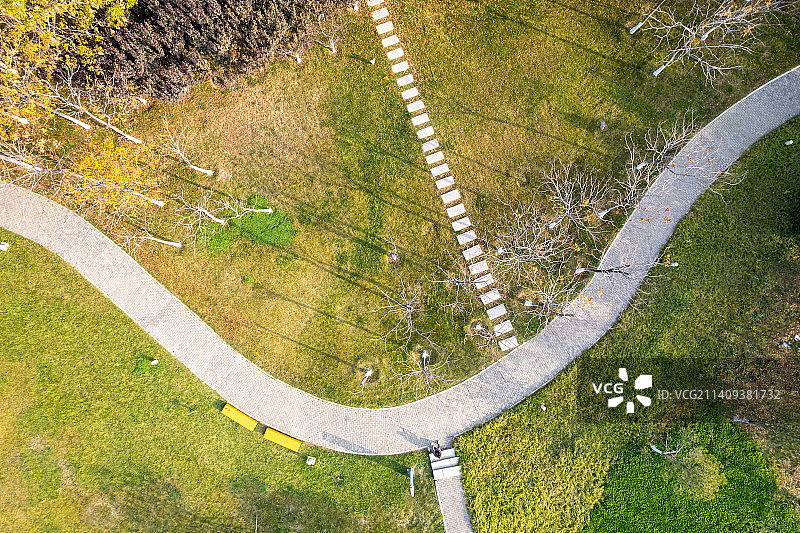 高视角下的林间小路图片素材