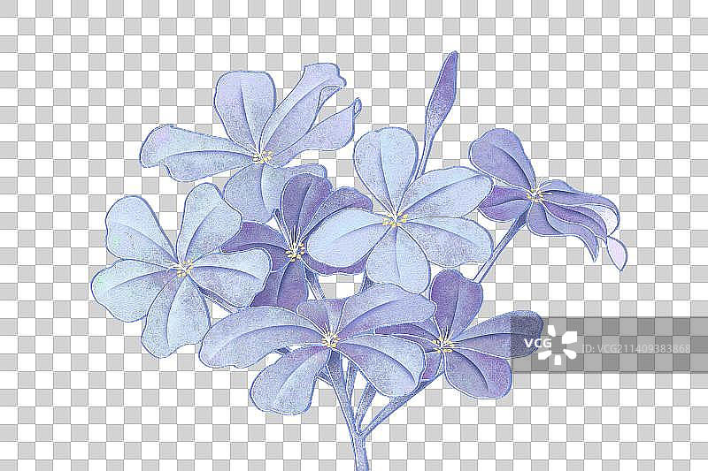 肌理岩彩风格植物系列蓝雪花图片素材