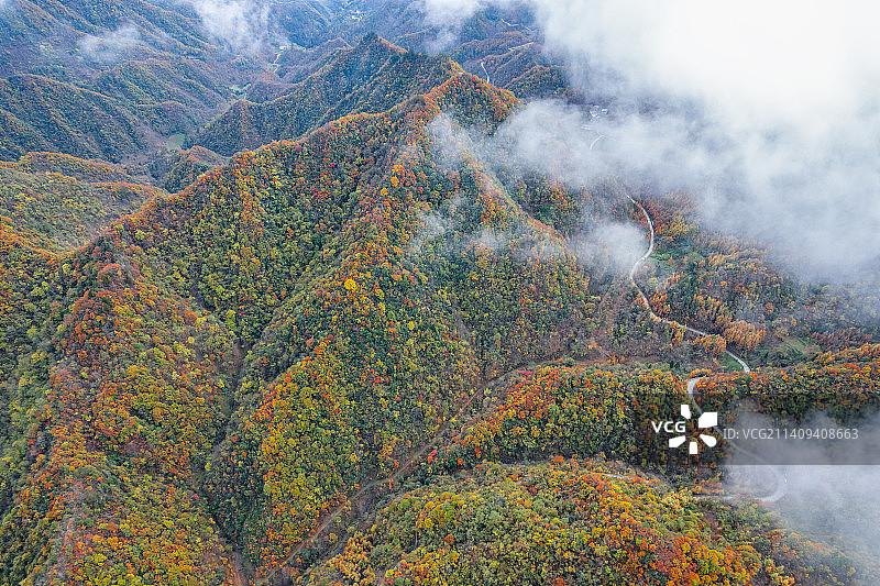 重庆城口，大巴山深处秋意浓图片素材
