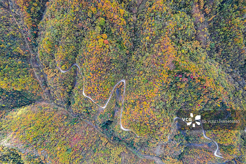 重庆城口，大巴山深处秋意浓图片素材
