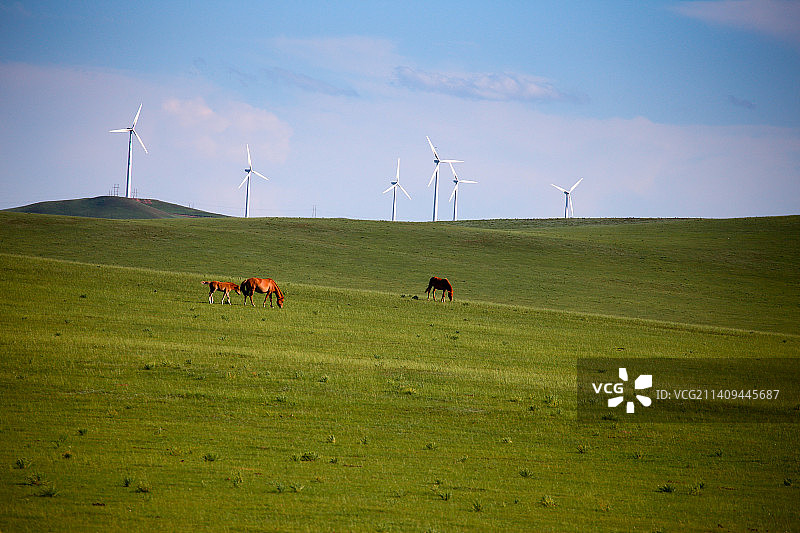 中国河北张北草原的风机图片素材