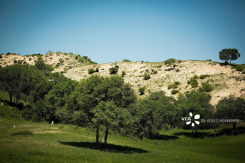 中国内蒙古锡林郭勒的浑善达克沙地图片素材