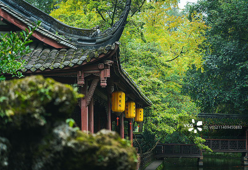 罨画池银杏秋景图片素材