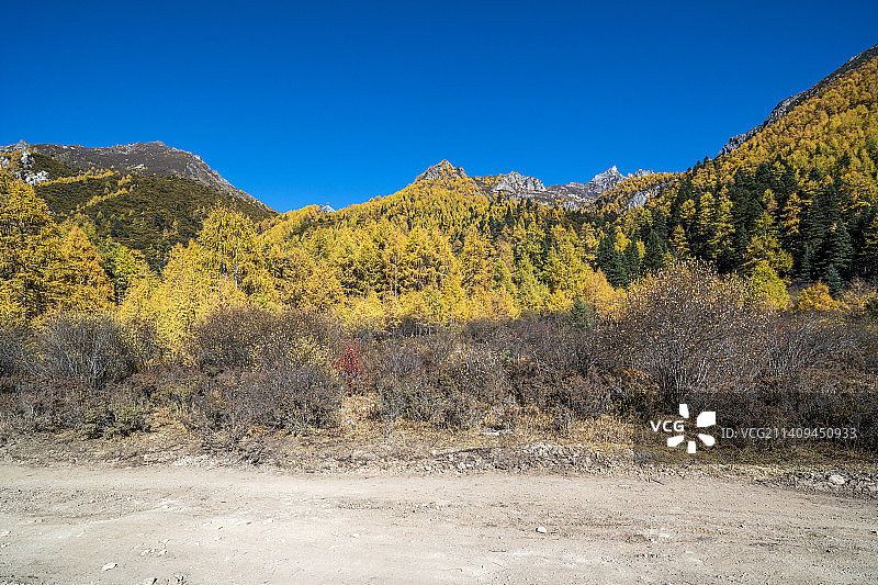 中国四川川西高原莲花湖秋天自然风光图片素材