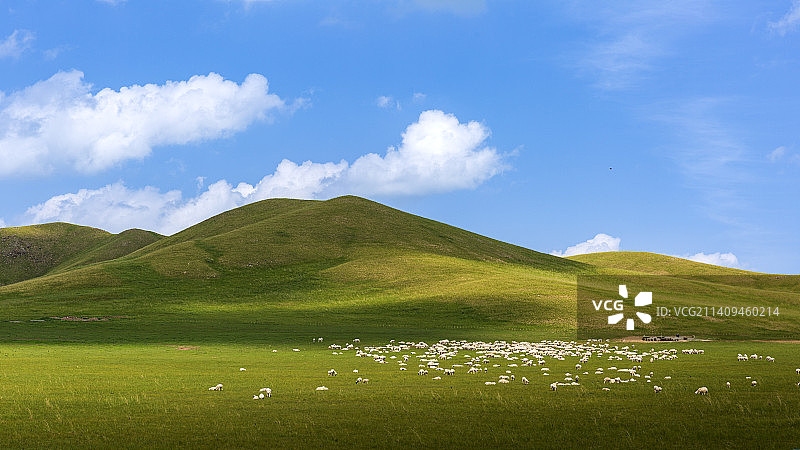 天边草原乌拉盖图片素材