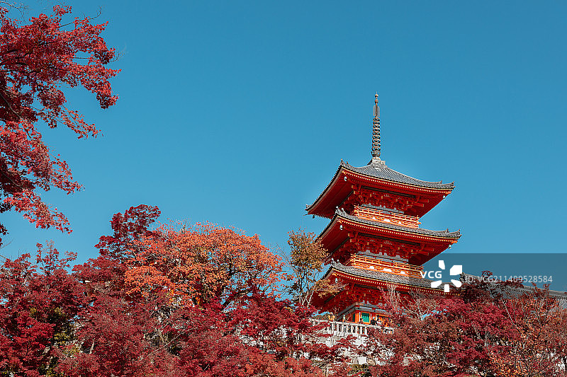 日本京都清水寺秋色图片素材
