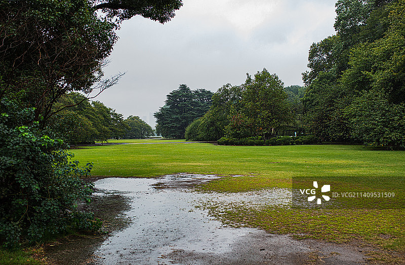 雨中的东京新宿御苑公园景色图片素材