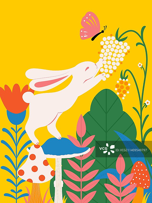 鲜艳花丛兔子包装图片素材