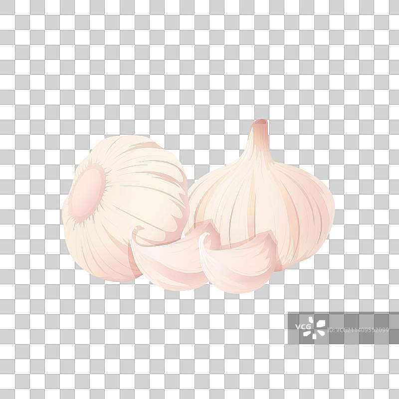大蒜腊八蒜糖蒜元素插画图片素材