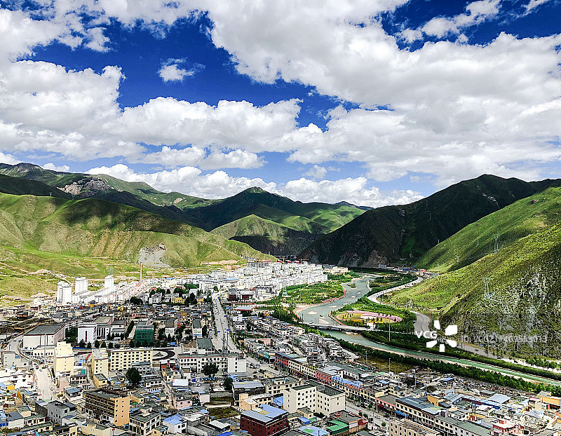 美丽玉树图片素材