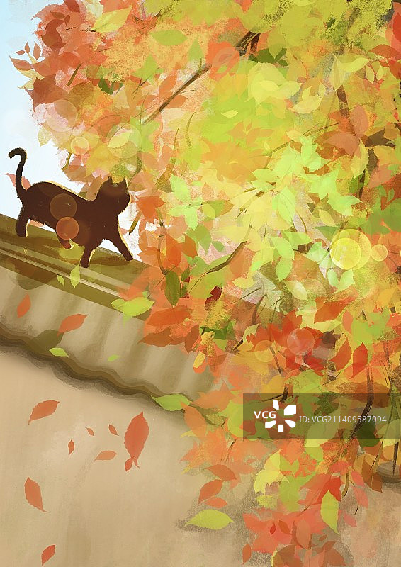 秋天的树叶和猫咪图片素材