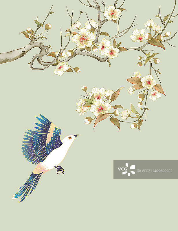 新中式风格梨花与布谷鸟装饰插画图片素材