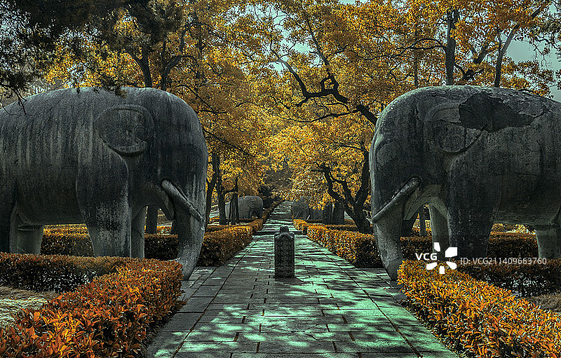 南京石像路图片素材