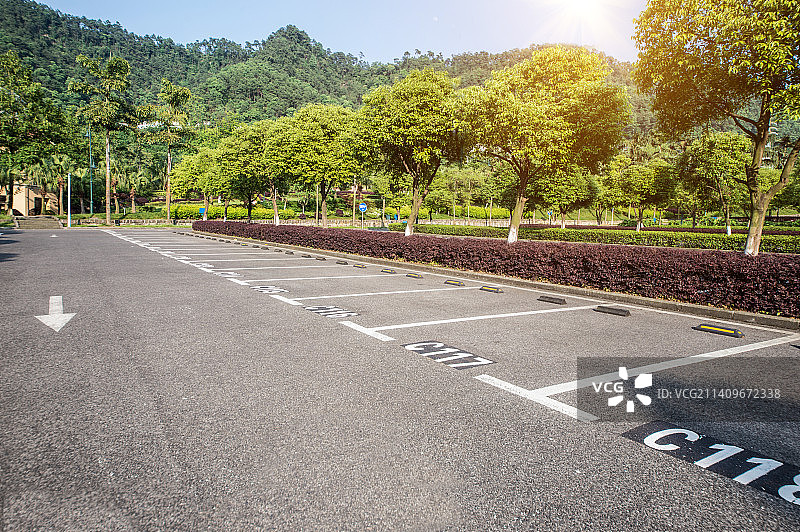 汽车广告背景图，林荫大道图片素材