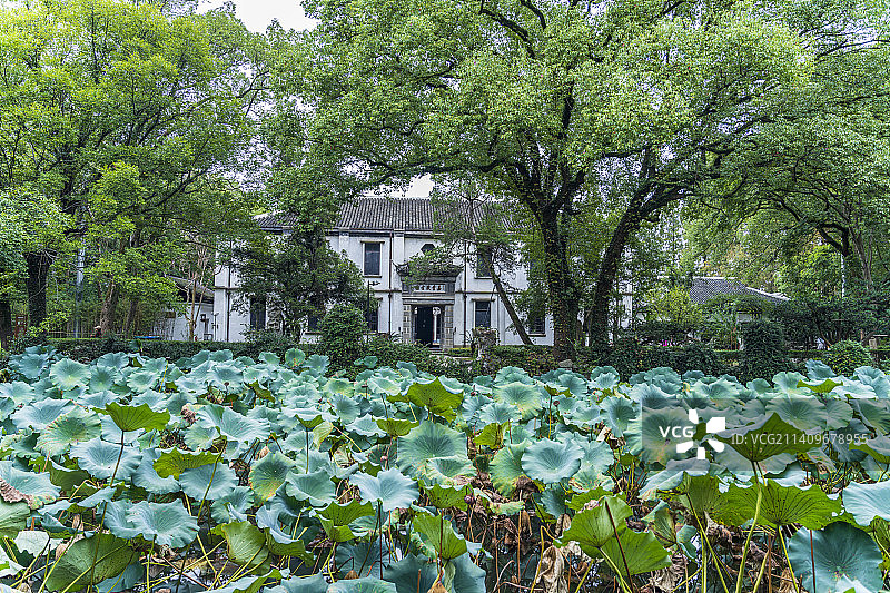 浙江湖州南浔古镇嘉业藏书楼建筑图片素材