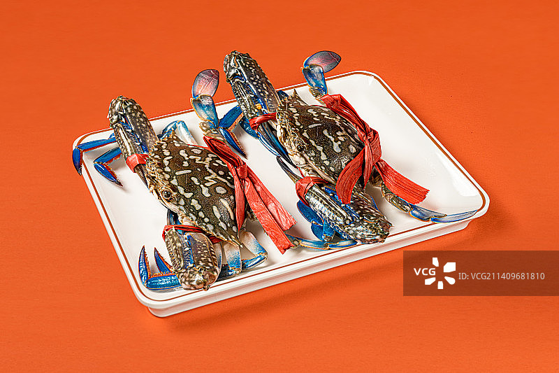 鲍鱼 海鲜 虾 鸡脚 排骨 花蟹 螃蟹 白菜图片素材