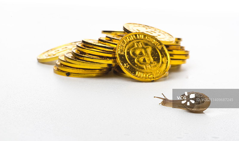 蜗牛和比特币图片素材