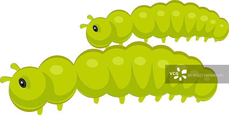 白色背景上的绿色毛毛虫图片素材