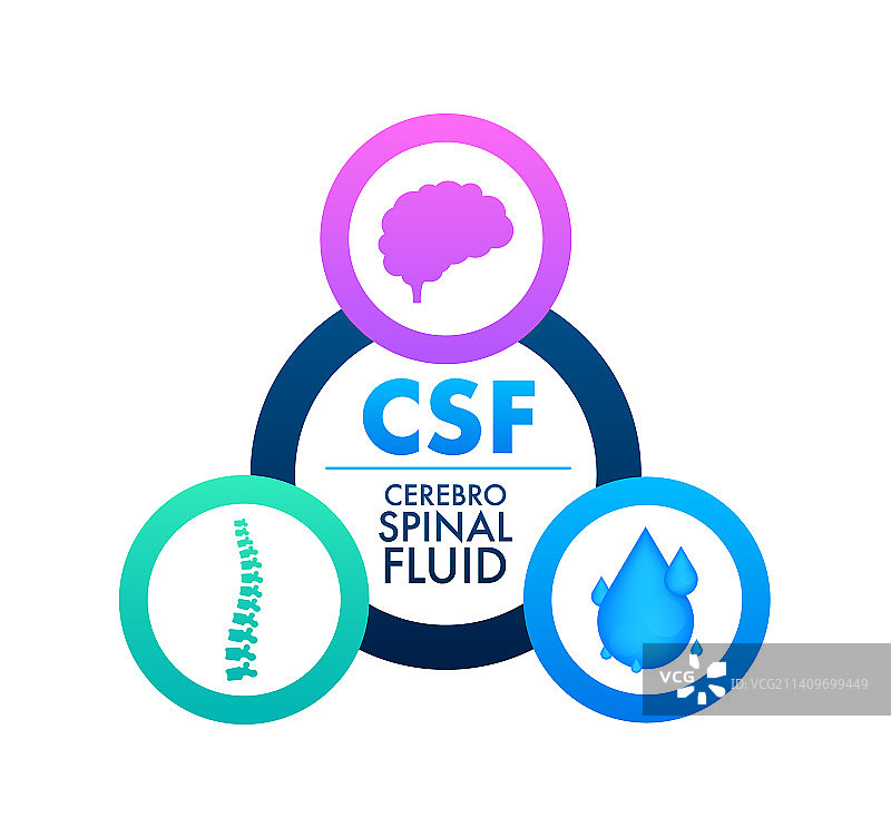脑脊液医学概念图片素材