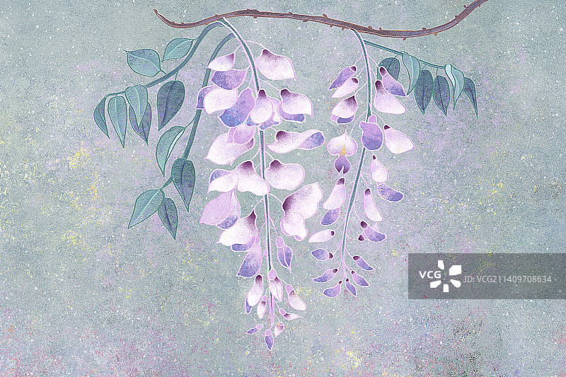 肌理岩彩风格植物系列紫藤花图片素材