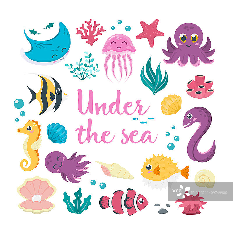 珍稀海洋动植物合集图片素材