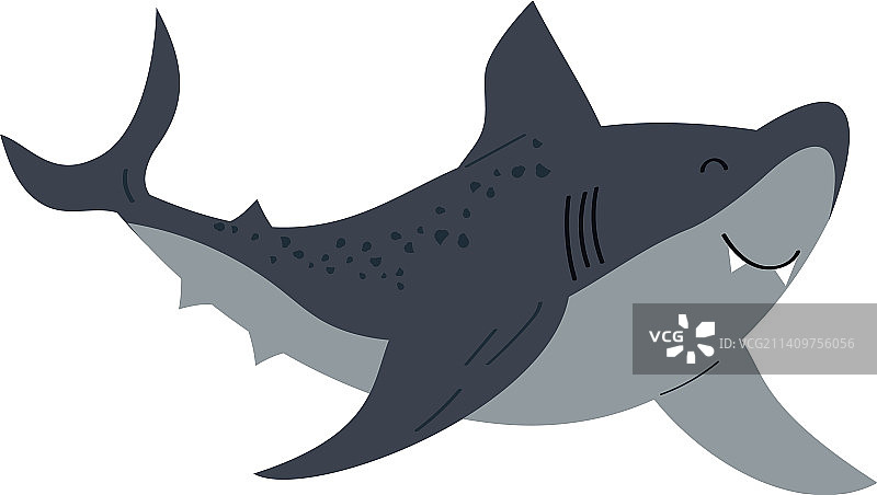 鲨鱼海洋生物动物图片素材