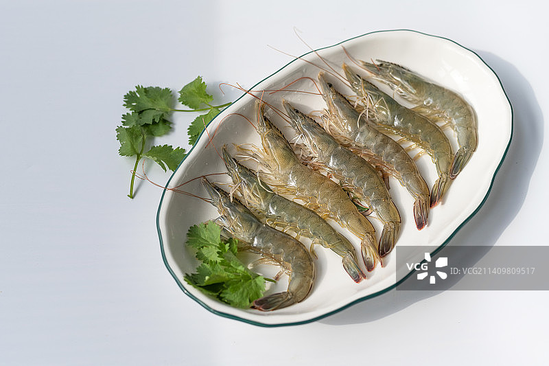 一盘鲜活的虾图片素材