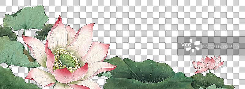 莲花图片素材
