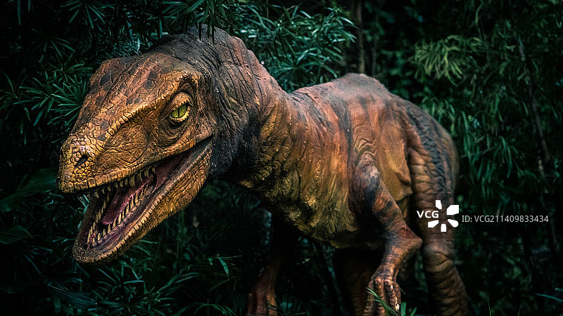 霸王龙恐龙图片素材