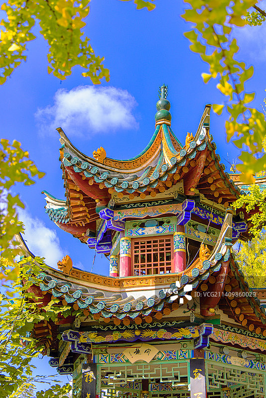 银杏叶围绕的中式古建筑，昆明翠湖图片素材