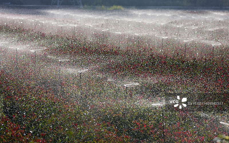 喷灌图片素材