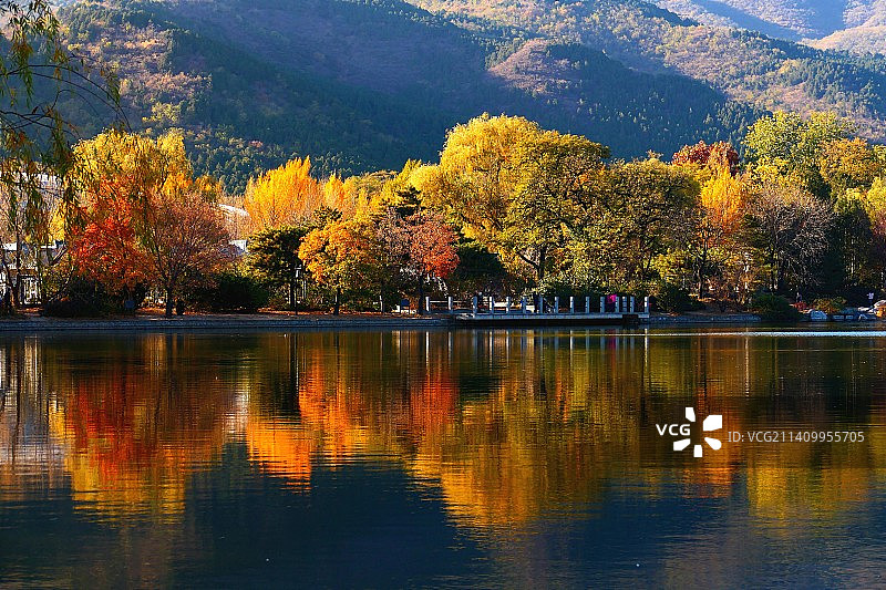 属于秋天的颜色图片素材