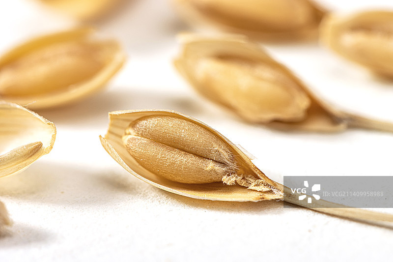 白色背景上的小麦颗粒微距特写图片素材