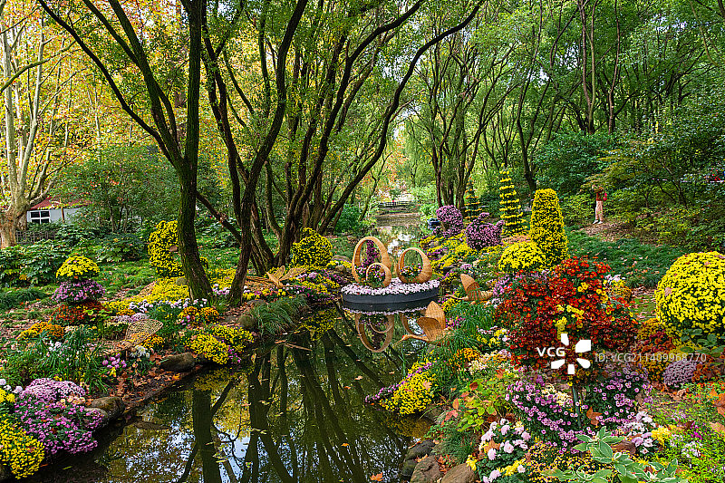 上海共青森林公园菊花展图片素材