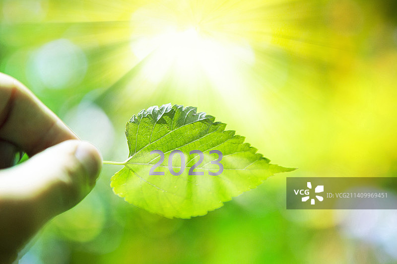 迎向光明的新年图片素材