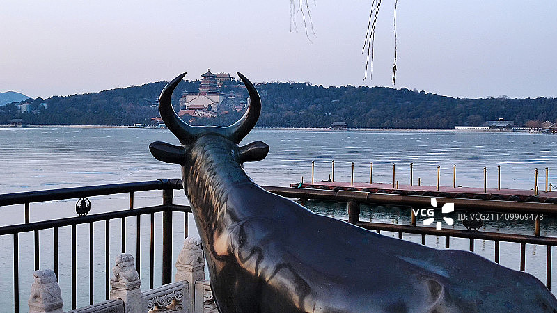颐和园铜牛遥望佛香阁图片素材