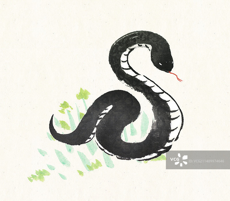 水墨十二生肖之草地上竖起身子吐信的黑蛇图片素材