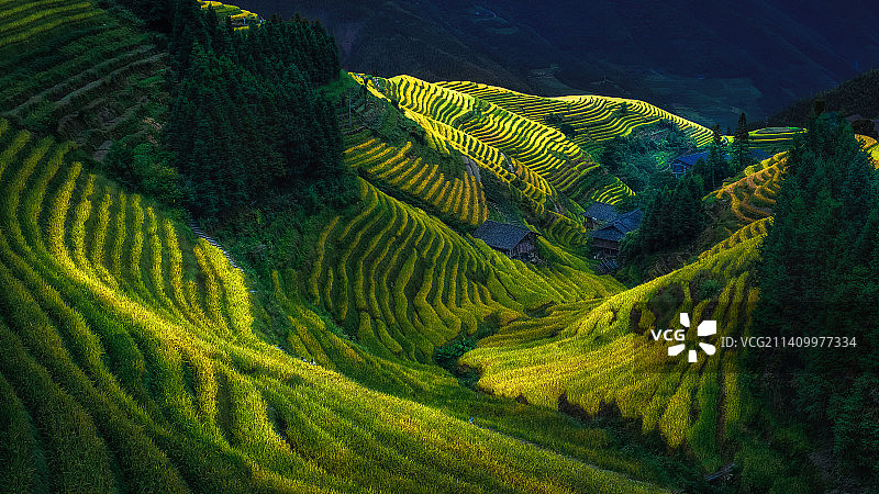 龙脊梯田图片素材