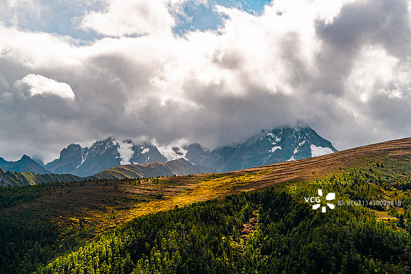 秋季云南迪庆香格里拉白马雪山图片素材