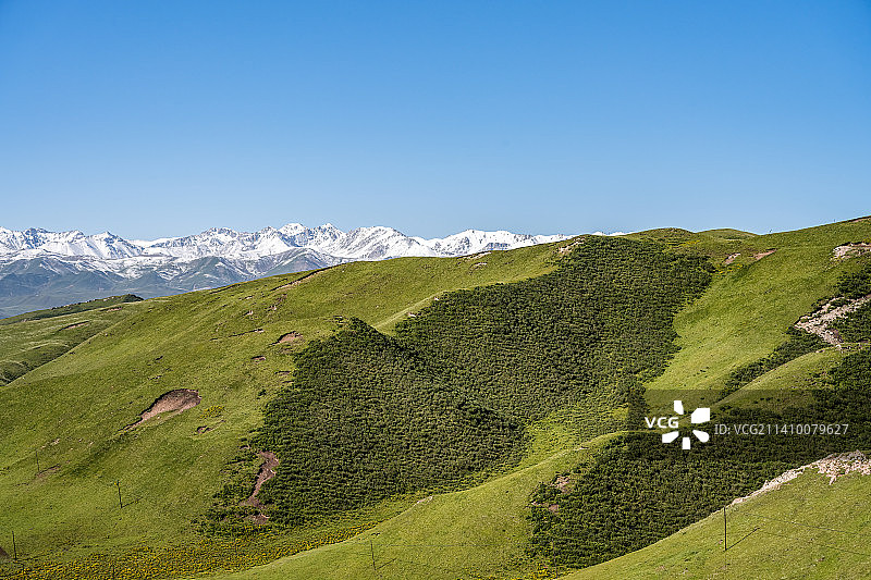 青海祁连山国家公园祁连山草原风光图片素材